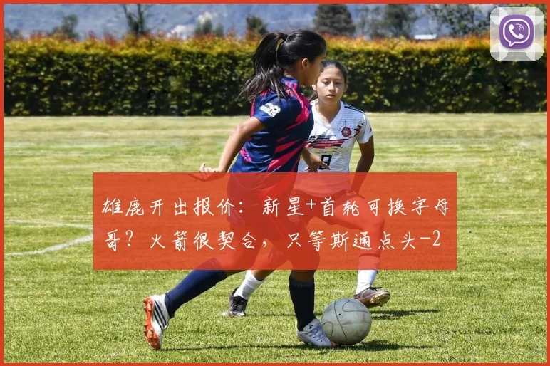 雄鹿开出报价：新星+首轮可换字母哥？火箭很契合，只等斯通点头