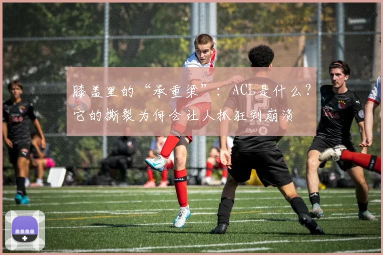 膝盖里的“承重梁”：ACL是什么？它的撕裂为何会让人抓狂到崩溃