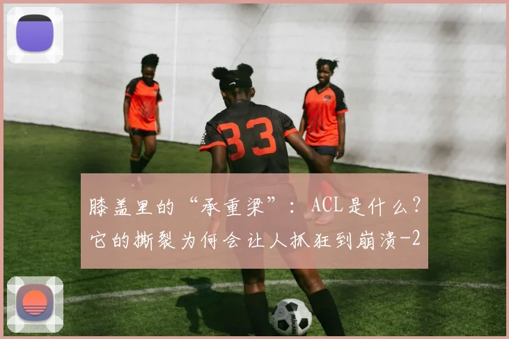 膝盖里的“承重梁”：ACL是什么？它的撕裂为何会让人抓狂到崩溃