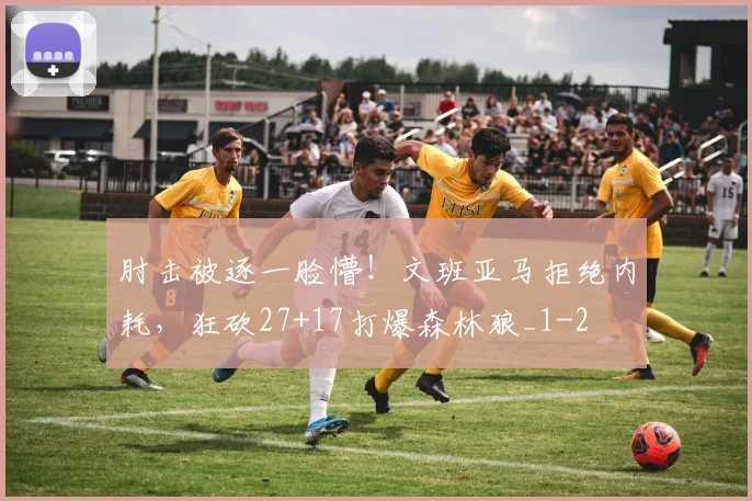 肘击被逐一脸懵！文班亚马拒绝内耗，狂砍27+17打爆森林狼_1