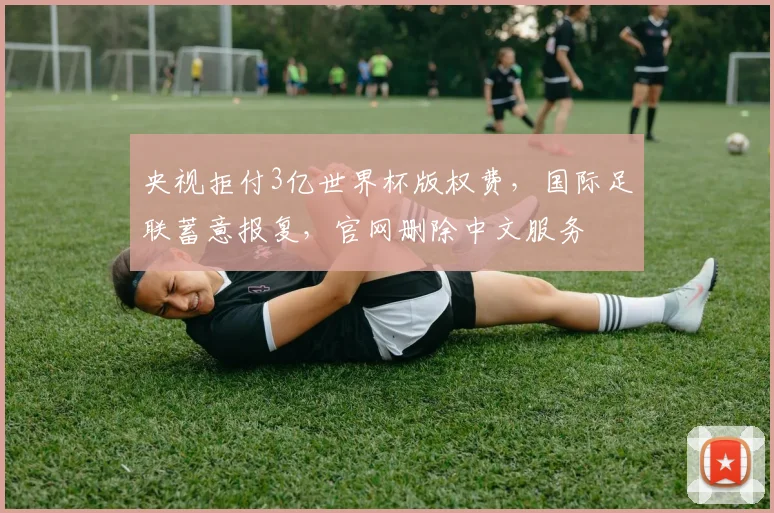 央视拒付3亿世界杯版权费，国际足联蓄意报复，官网删除中文服务