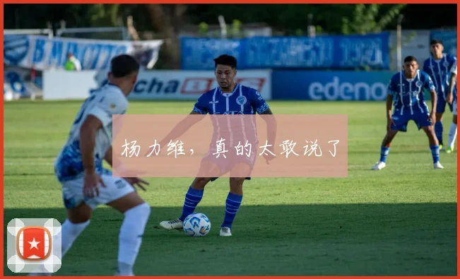 杨力维，真的太敢说了